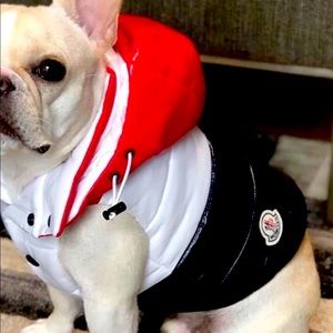 Moncler dog vest